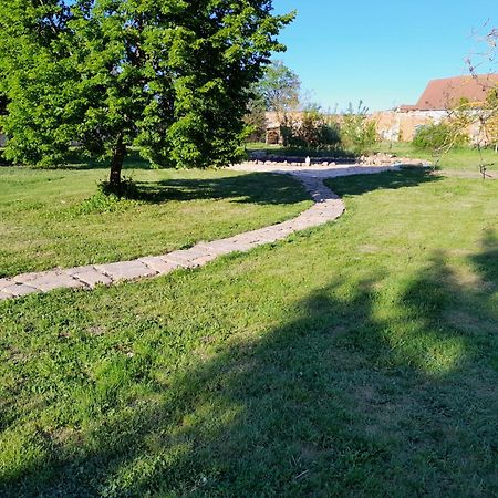 Dvur Dolenec Appartement Rohoznice  Buitenkant foto