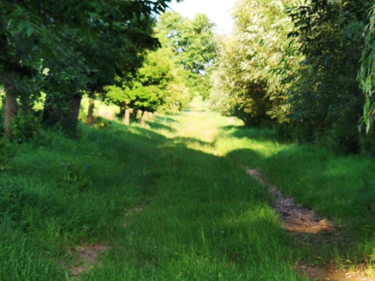 Dvur Dolenec Appartement Rohoznice  Buitenkant foto